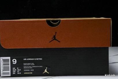 AIR 12 CT8013-002 (2025) Flu JORDAN Game 1017